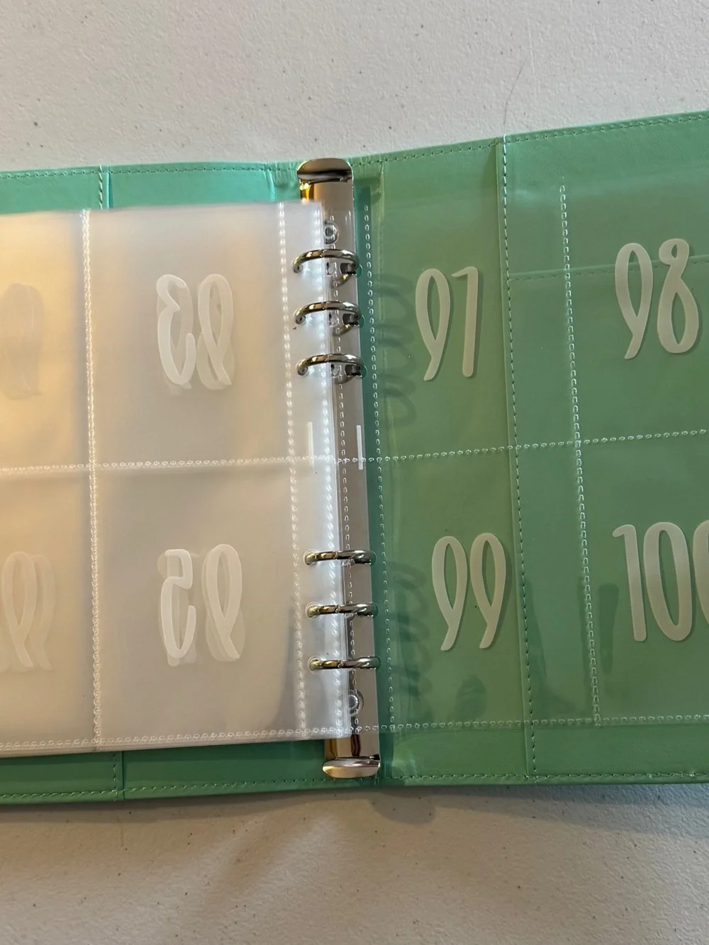 100 Envelope Savings Challenge Binder - Mint Green